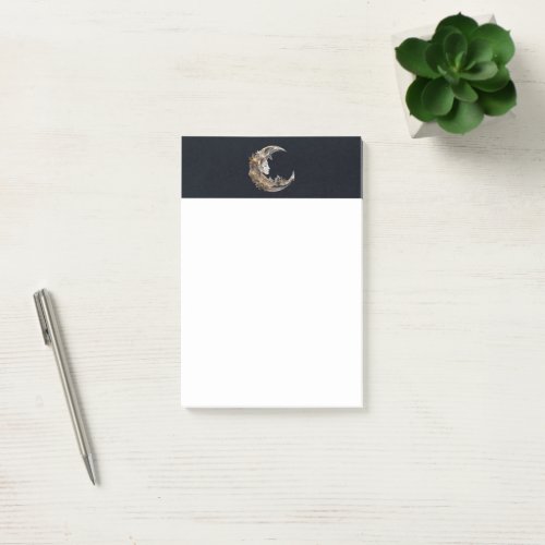 Beautiful Face in the Moon Post_it Notes