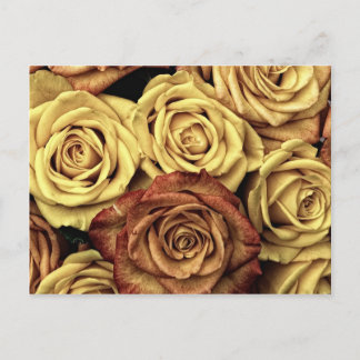 Beautiful Faded Roses Vintage Floral Bouquet Postcard
