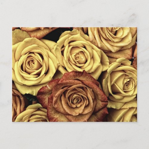 Beautiful Faded Roses Vintage Floral Bouquet Postcard