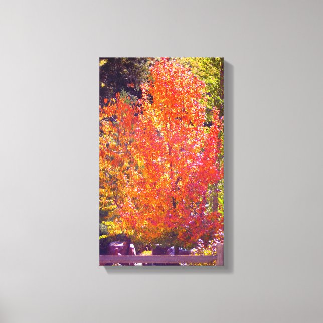 Beautiful Fall Colors 2 Canvas Print (Front)