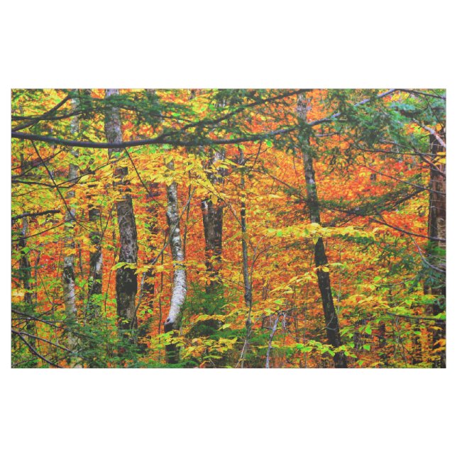 Beautiful Fall Colors in fabric (Yard)