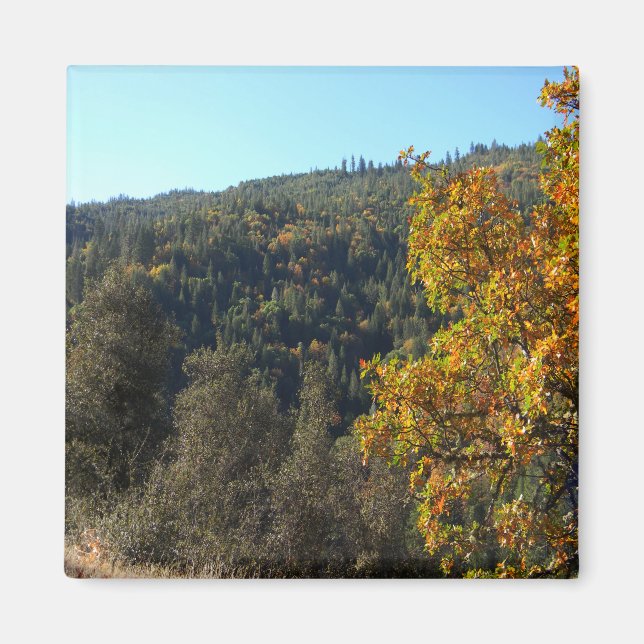 Beautiful Fall colors..... Magnet (Front)