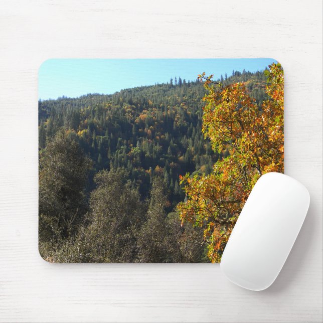 Beautiful Fall colors..... Mouse Pad (With Mouse)
