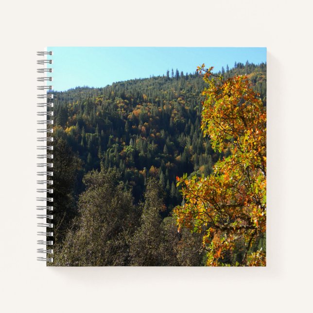 Beautiful Fall colors..... Notebook (Front)