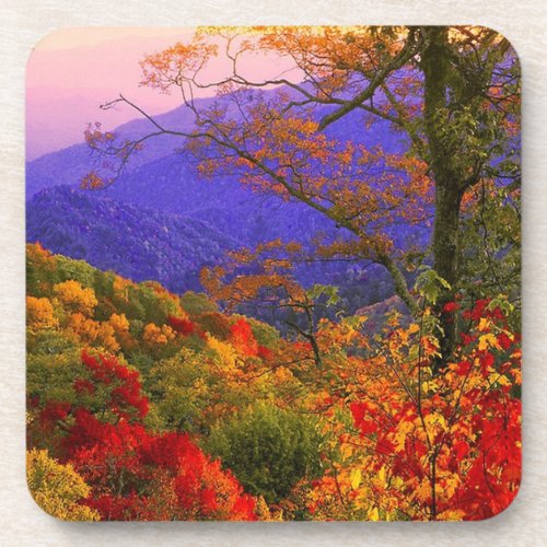 Beautiful Fall Colors on Hillside Trees Mountain Beverage Coaster