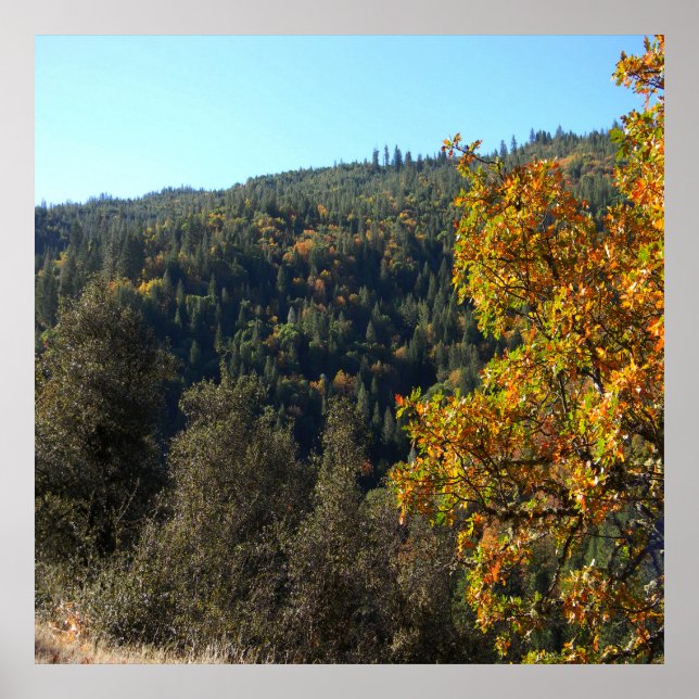 Beautiful Fall colors..... Poster (Front)