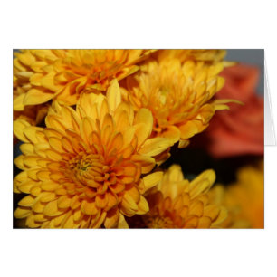 Beautiful Fall Flowers Cards