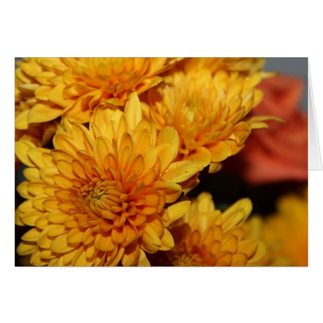 Beautiful Fall Flowers Cards (Front Horizontal)