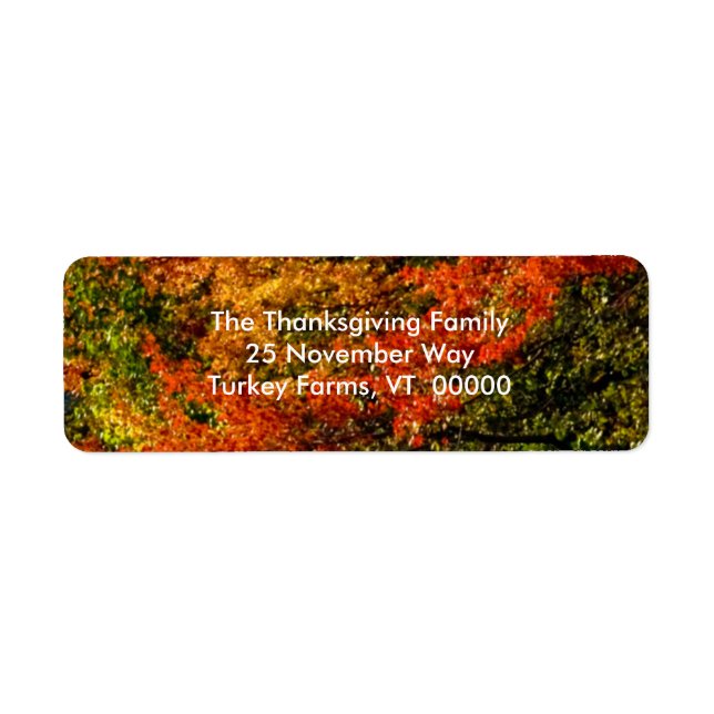 Beautiful Fall Foliage Photo Return Address Labels (Front)