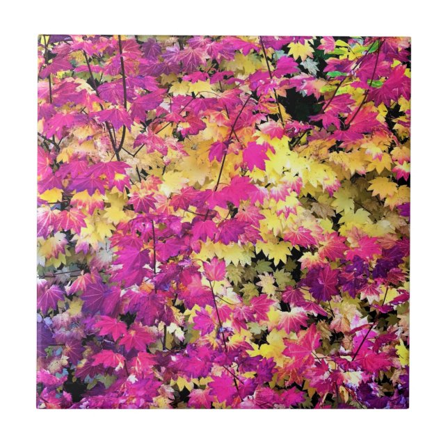 Beautiful Fall Leaves Ceramic Tile (Front)