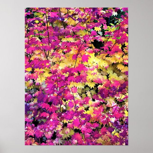 Beautiful Fall Leaves Poster (Front)