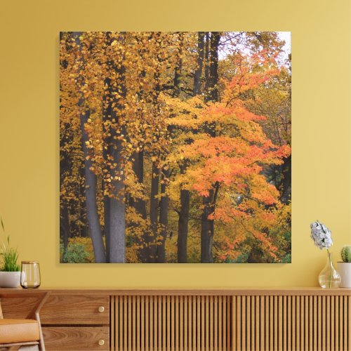 Beautiful Fall Leaves Tulip Poplar Trees Canvas Print