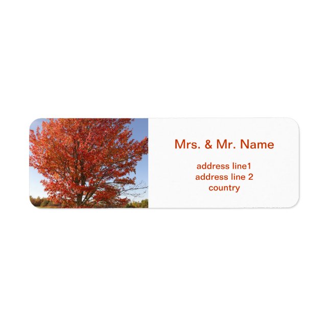 Beautiful Fall  Maple Tree in Red Leaves Label (Front)