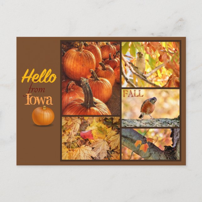 Beautiful Fall Postcard from YOUR State (Front)