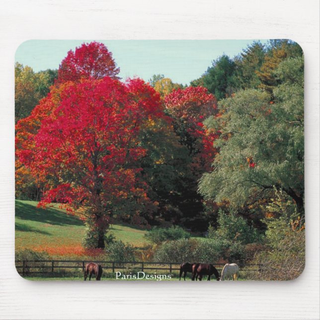 Beautiful Fall scene Mouse Pad (Front)