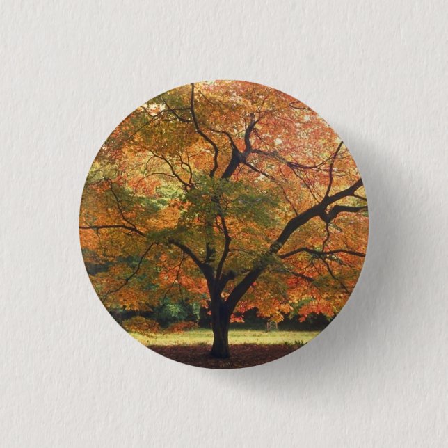 Beautiful Fall Tree Pinback Button (Front)