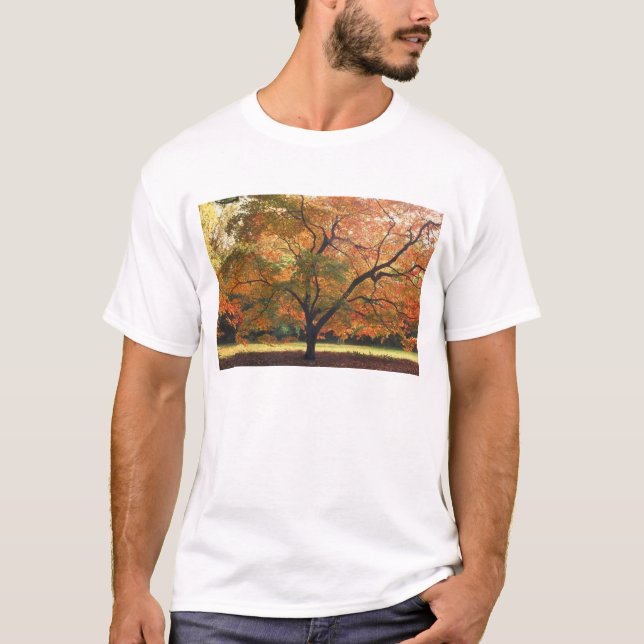 Beautiful Fall Tree T-Shirt (Front)