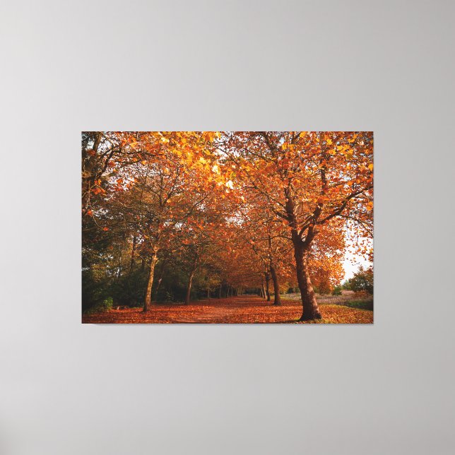 Beautiful Fall trees Canvas Print (Front)