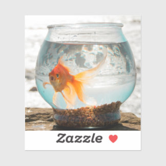 Beautiful fantail goldfish in bowl by Ocean Sticker