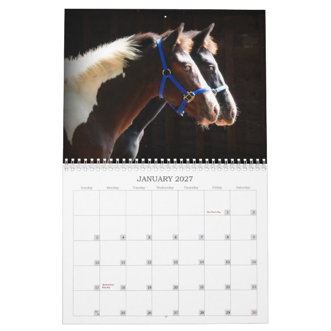 Beautiful Farm Animals Calendar (Jan 2027)