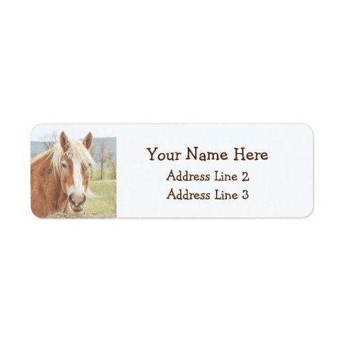 Beautiful Farm Horse Return Address Labels