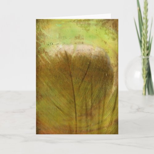 Beautiful Feather All Occasions Greeting Card