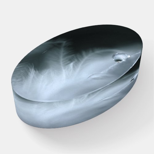 Beautiful Feather Paperweight