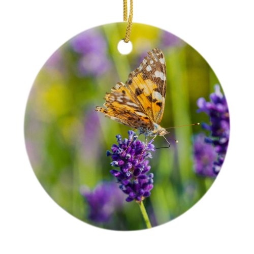Beautiful Feeding Butterfly Christmas Ornament