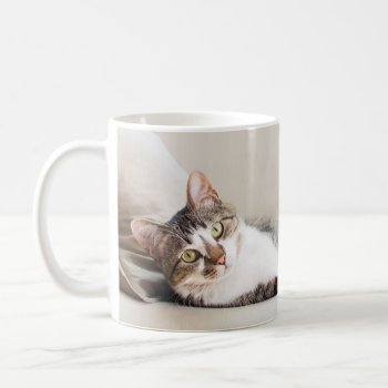 Beautiful Feline Friend Cat Lovers' Photo Mug