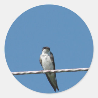 Beautiful Female Barn Swallow Classic Round Sticker