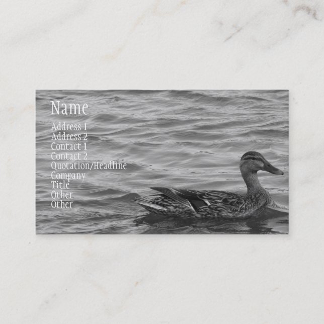Beautiful Female Mallard Duck Business Card (Front)