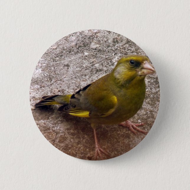 Beautiful Finch Button (Front)