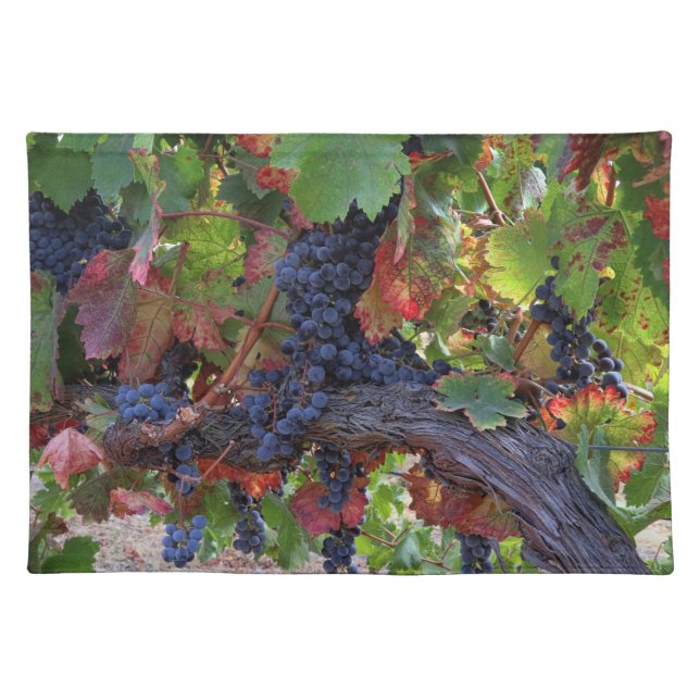 Beautiful Fine Art Wine Grape Harvest Vineyard Cloth Placemat (Front)