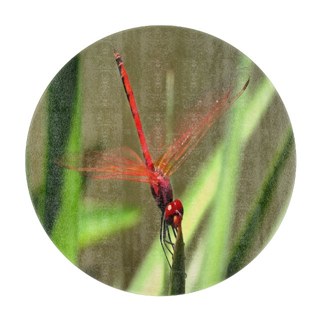 Beautiful Firecracker Dragonfly Acrylic Painting Cutting Board (Front)