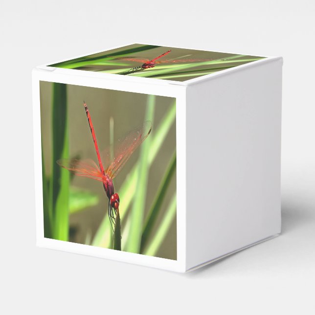 Beautiful Firecracker Dragonfly Acrylic Painting Favor Boxes (Front Side)