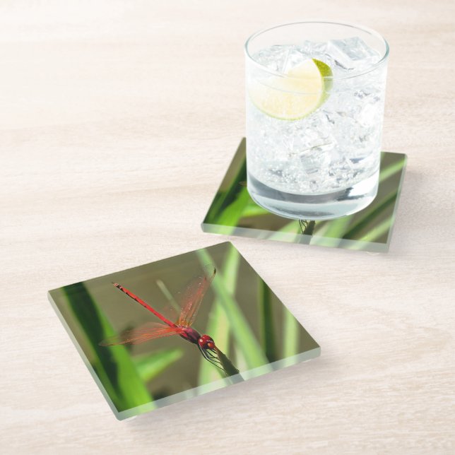 Beautiful Firecracker Dragonfly Acrylic Painting Glass Coaster (Angled)