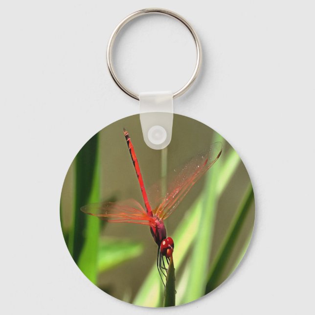 Beautiful Firecracker Dragonfly Acrylic Painting Keychain (Front)