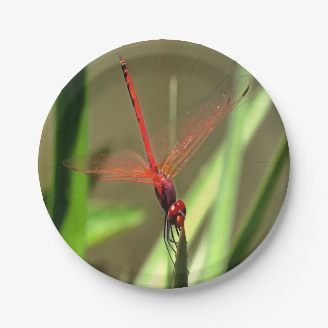 Beautiful Firecracker Dragonfly Acrylic Painting Paper Plates (Front)
