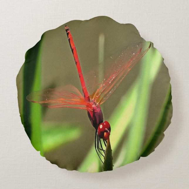 Beautiful Firecracker Dragonfly Acrylic Painting Round Pillow (Back)