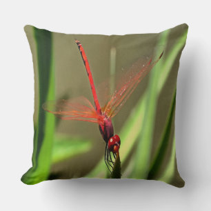 Beautiful Firecracker Dragonfly Acrylic Painting Throw Pillow