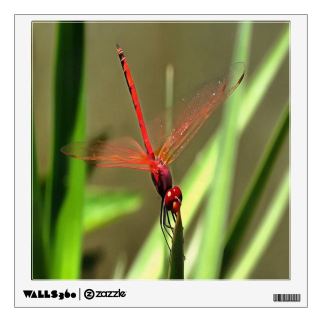 Beautiful Firecracker Dragonfly Acrylic Painting Wall Sticker (Front)