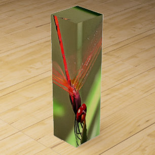 Beautiful Firecracker Dragonfly Acrylic Painting Wine Gift Box