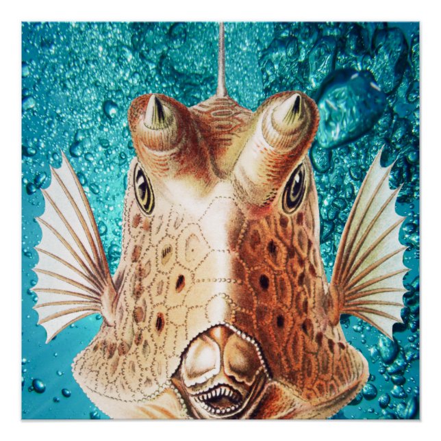 Beautiful Fish Art by Earnst Haeckel Poster (Front)