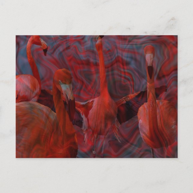 Beautiful "Flamingo Dance" Pink Postcard (Front)