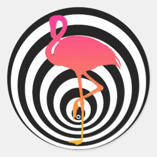 Beautiful flamingo in circles classic round sticker