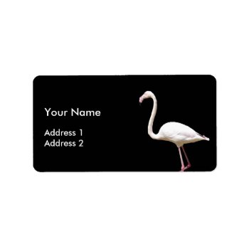 Beautiful Flamingo On Black - Address Label by stdjura at Zazzle