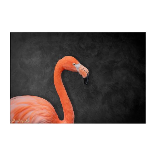 Beautiful Flamingo Print Acrylic Wall Art