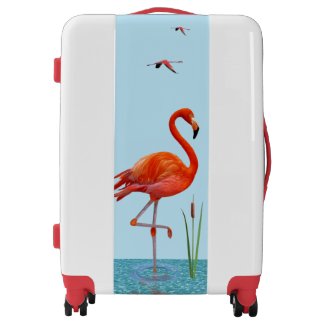 Beautiful Flamingos on Light Turquoise Blue