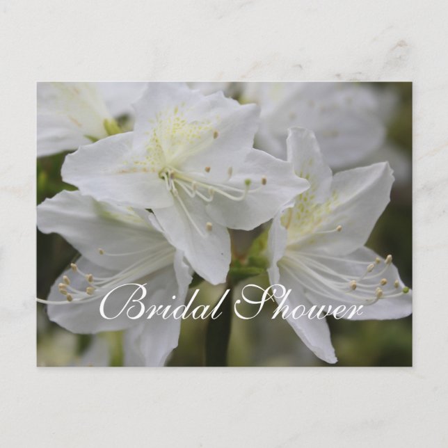 Beautiful floral bridal shower invitations (Front)