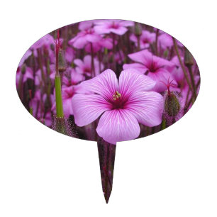 Beautiful Floral Cake Topper